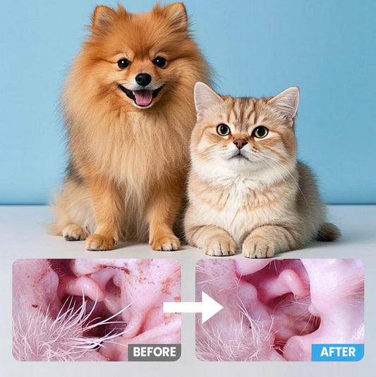 🚨 Ограничена оферта! 🐾 Почистващи клечки за кучета и котки – хигиенен комплект за грижа за домашни любимци ✨