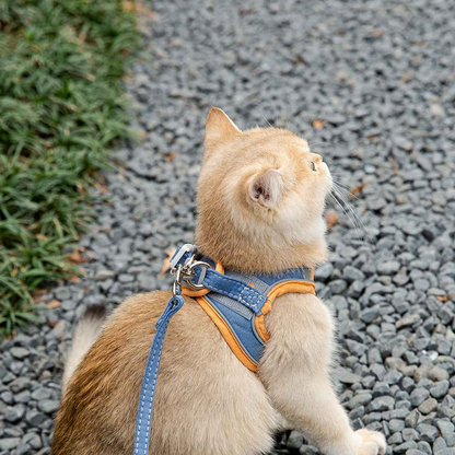 🌟 Котена шлейка с отразяващи елементи | Видима при слаба светлина и нощем 🌙