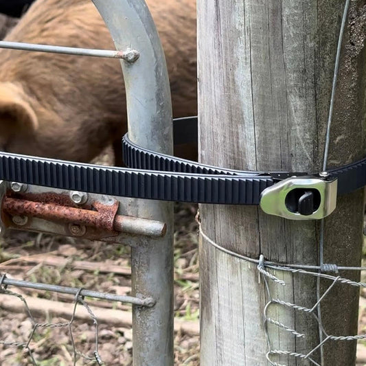 💫 Издържа на тежест до 2500 кг | С карабини от неръждаема стомана и полиестерова лента 🏋️