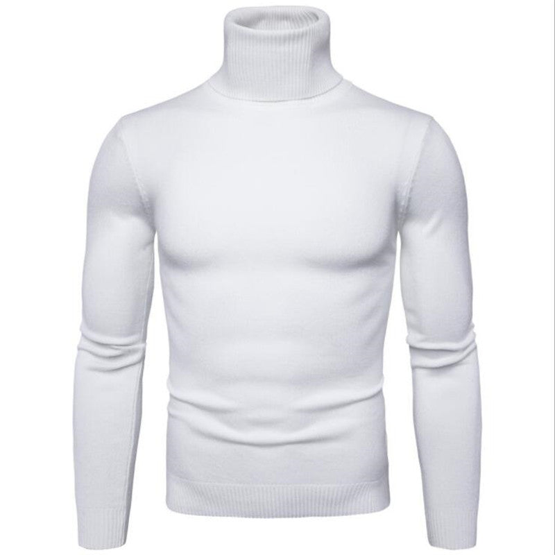 👔Elegante Passform, Business & Alltag – Klassischer Herren-Rollkragenpullover ✨